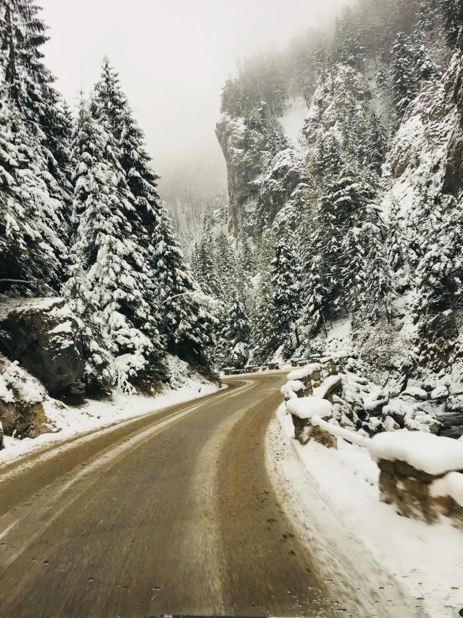 Appartamento U Plechoveho Janosika Terchová Esterno foto