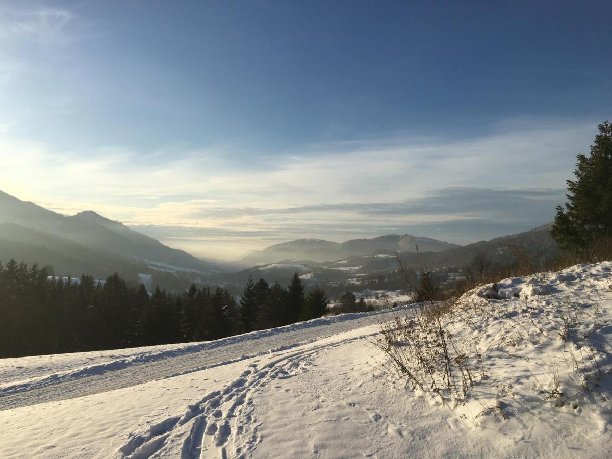 Appartamento U Plechoveho Janosika Terchová Esterno foto