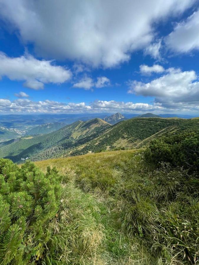 Appartamento U Plechoveho Janosika Terchová Esterno foto