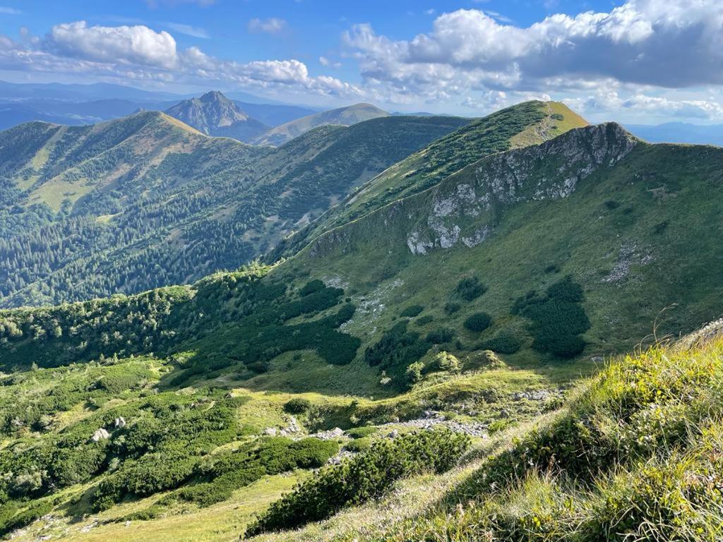 Appartamento U Plechoveho Janosika Terchová Esterno foto